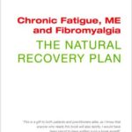 Chronic Fatigue, ME and Fibromyalgia The Natural Recovery Plan