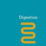 Digestion Eat Your Way To Better Health