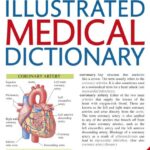 Illustrated Medical Dictionary