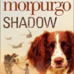 Shadow