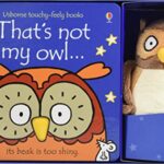 That’s Not My Owl Book and Toy