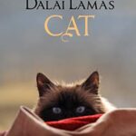 Dalai Lamas cat