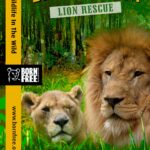 Lion Rescue A True Story