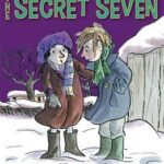 Shock For The Secret Seven