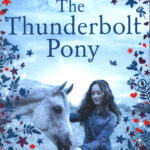The Thunderbolt Pony