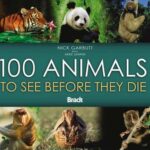 100 Animals To See Before They Die